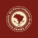Foto de Articulação dos Povos Indígenas do Brasil