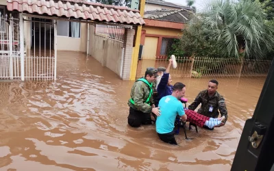 736ebf8f-6a79-4cf2-98d9-3c0cacfd5736-whatsapp-image-2024-05-04-at-17.03.27