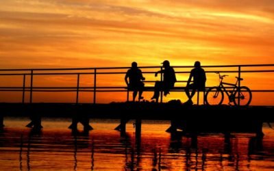 IMG_1301-2-630x355-1