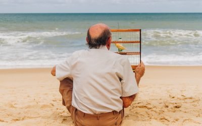 WhatsApp-Image-2024-08-01-at-12.40.44