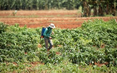 a838a84e-gp0stww5z-1024x683-1