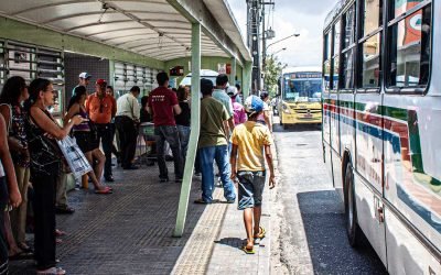 bus