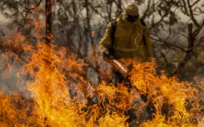 incendio-florestal-bsb2_mcamgo_abr_24082024-2_15