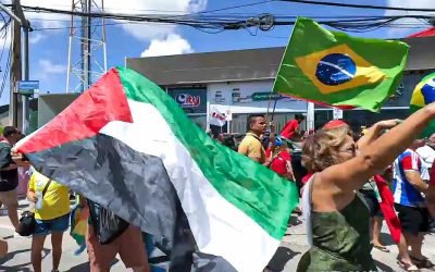 palestina_capas